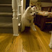 Alice Hinds Photo 15