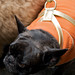 Martha Black Photo 11