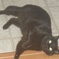 Kitty Robinson Photo 4