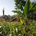Rachel Crowder Photo 14