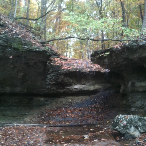 Thomas Wills Photo 15