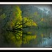 Marty Lang Photo 17