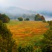 James Meadows Photo 51