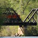 Joyce Crow Photo 17