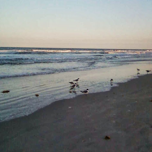 Lori Johns Photo 35