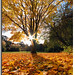 Autumn Russell Photo 35