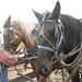 Dennis Duke Photo 16