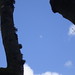 Denise Moon Photo 14