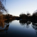 Rod Ward Photo 10