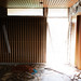 Mark Pankow Photo 12