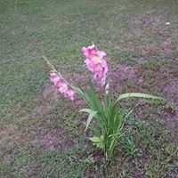 Dorothy Mohler Photo 3