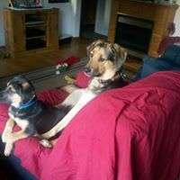 Michelle Hays Photo 7