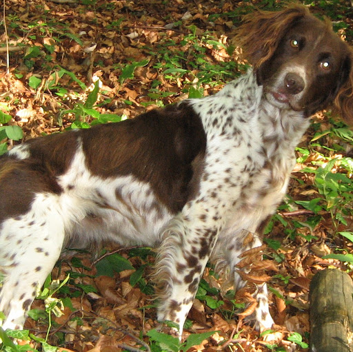 Judy Fox Photo 14
