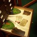 Judith Magee Photo 21