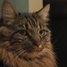 Edward Coon Photo 2