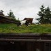 Amy Coombs Photo 15