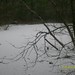 Misti Hall Photo 8