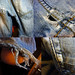 Wang Zhe Photo 26