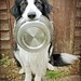 Barney Rushing Photo 1