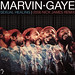 Marvin James Photo 19
