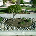 Mary Zins Photo 12