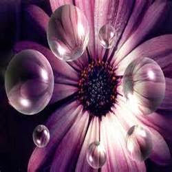 Angie Webb Photo 30
