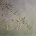 Renee Sands Photo 36