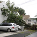 Brenda Heath Photo 16