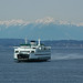Mark Culp Photo 21