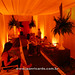 Marcia Sheldon Photo 15
