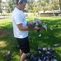 Allan Cameron Photo 16