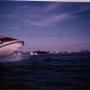 Michael Pines Photo 9