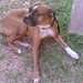 Amy Briscoe Photo 7