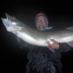 Michael Koepp Photo 1