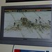 Debbie Packer Photo 17