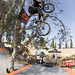 Dennis Garrett Photo 42