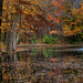 Autumn Butler Photo 16