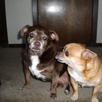 Cheri Moore Photo 14