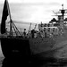 Allan Stern Photo 16