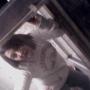 Laura Cate Photo 18
