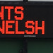 Franklin Welsh Photo 4