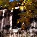 Josephine Manson Photo 8