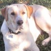 Kathy Goforth Photo 17