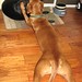 Benny Summers Photo 6
