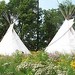 Jane Gibbs Photo 35