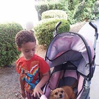 Susan Elmore Photo 31