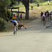 Andrew Stevenson Photo 12