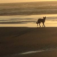 Karen Olson Photo 9