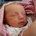 Debbie Steele Photo 23
