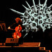 Carl Stevens Photo 29